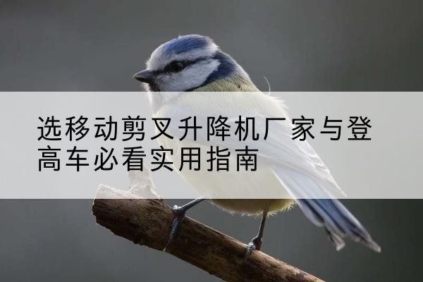 石渠电动升降机厂家-选移动剪叉升降机厂家与登高车必看实用指南