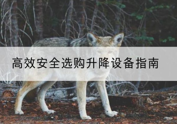 石渠升降货梯厂家推荐-*安全选购升降设备指南