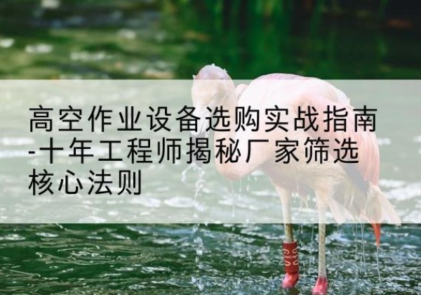 石渠剪叉式升降机厂家-高空作业设备选购实战指南-十年工程师揭秘厂家筛选核心法则